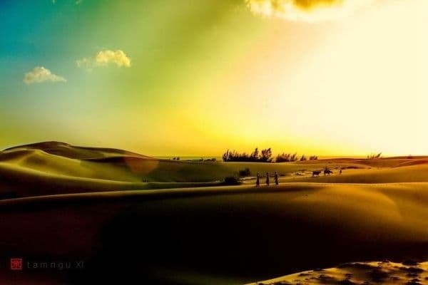 Bàu Trắng (Đồi cát)